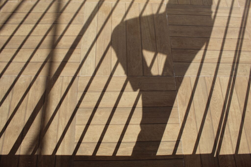 carrelage imitation parquet posé dans un salon lumineux
